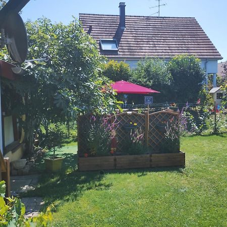 Gite Alsace Appenwihr エクステリア 写真