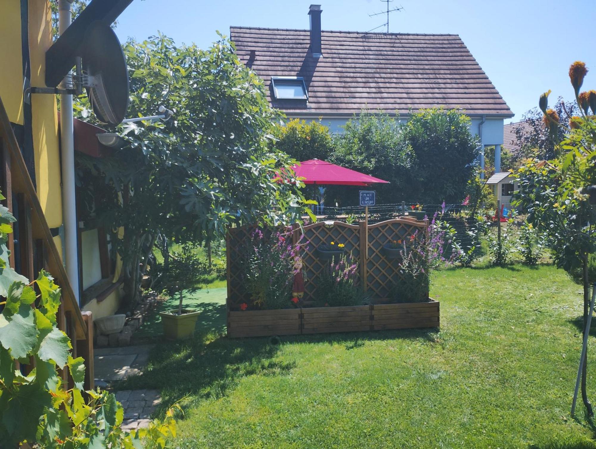 Gite Alsace Appenwihr エクステリア 写真