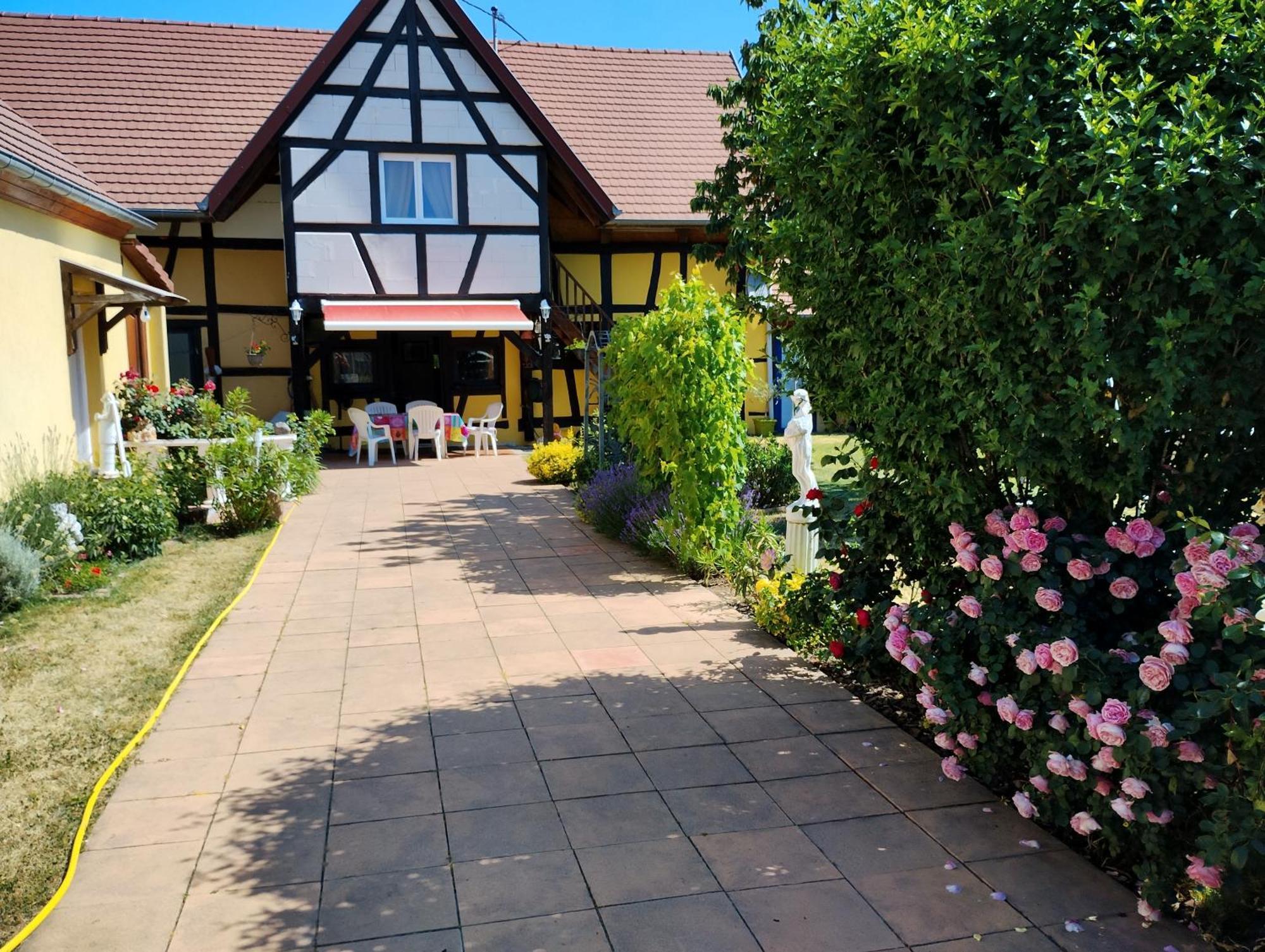 Gite Alsace Appenwihr エクステリア 写真